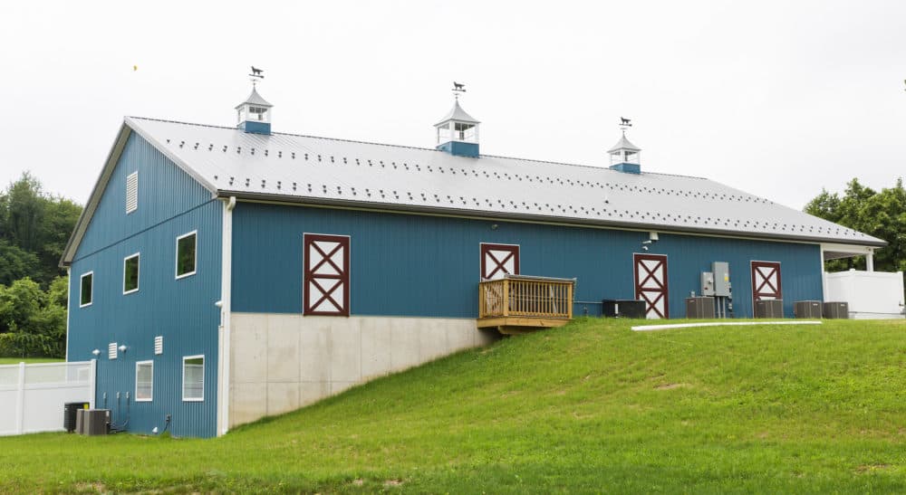 pet spa dog daycare cupola