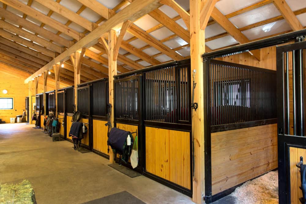 horse stalls