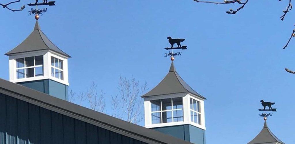 Weather vane cupolas with dog and arrow designs on a commercial building roof.