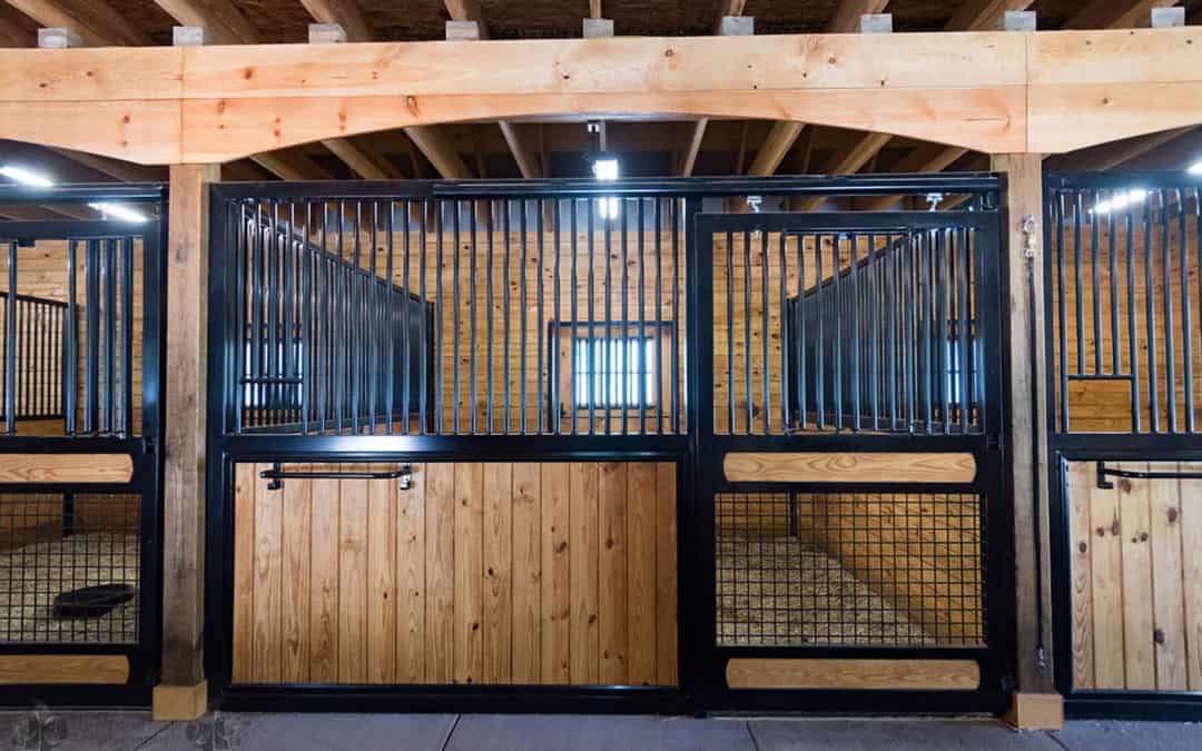 Horses Come to the 2016 Summer Olympics