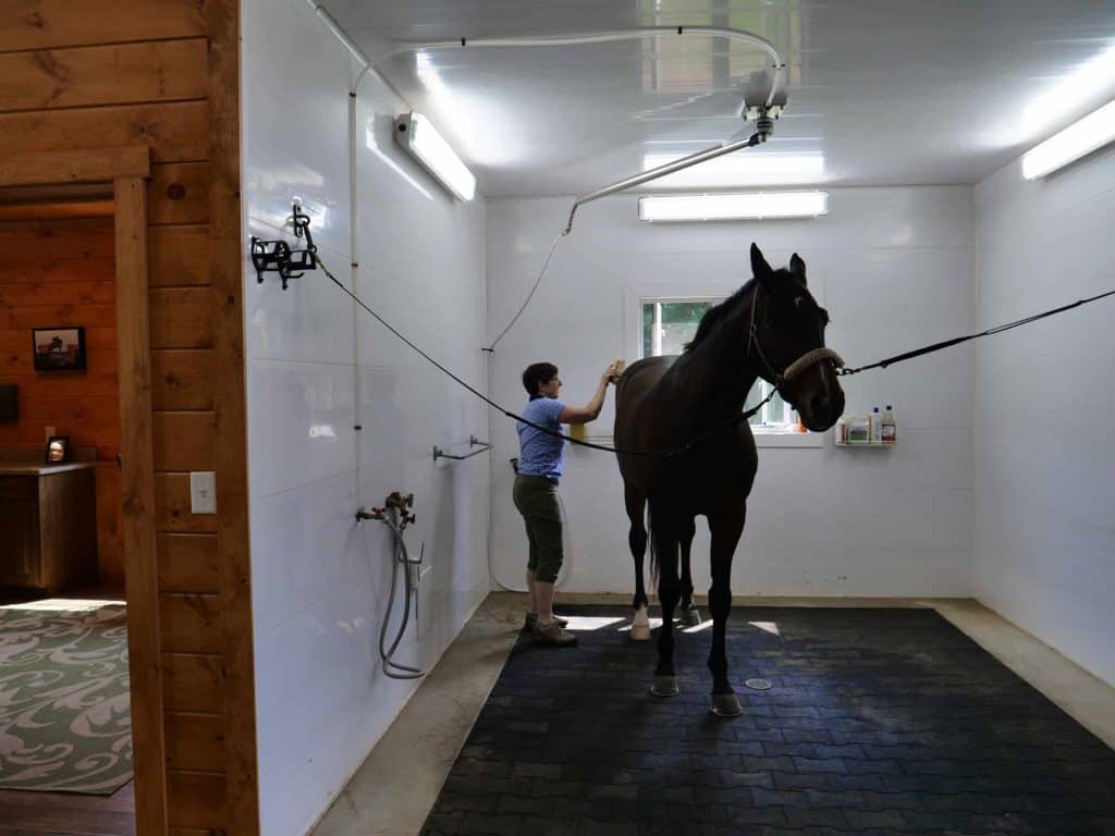 Stable maintenance and horse grooming at Quarry View Building Group.