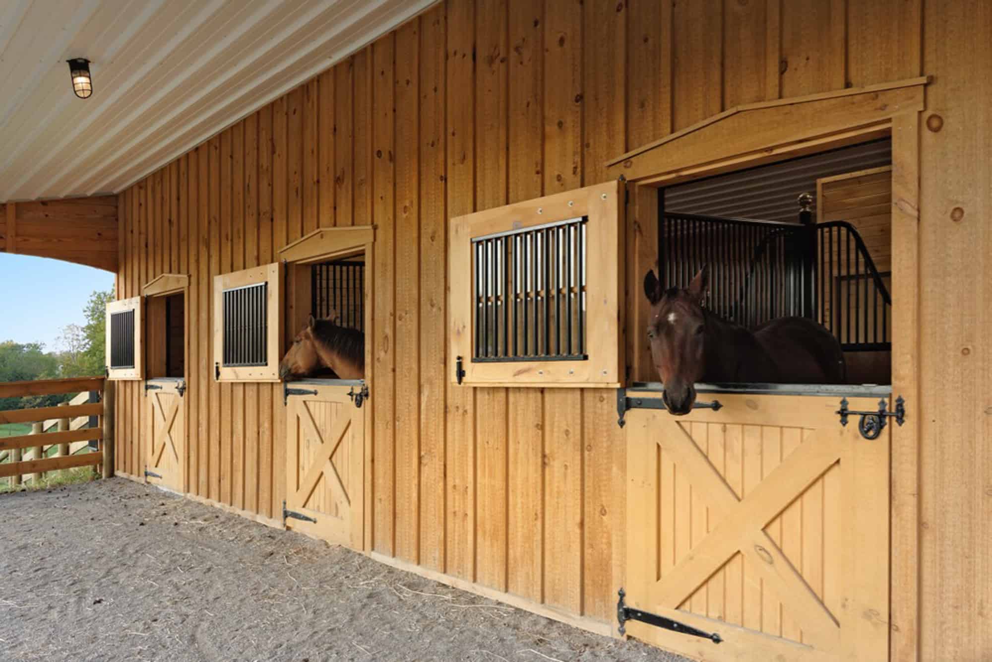 horse stalls dutch doors lean to