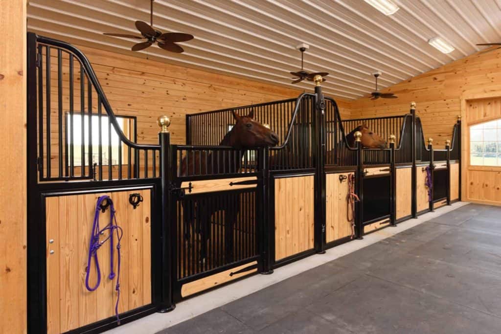 High-quality horse stalls with natural wood and black metal accents, offering a spacious and comfortable environment for horses.