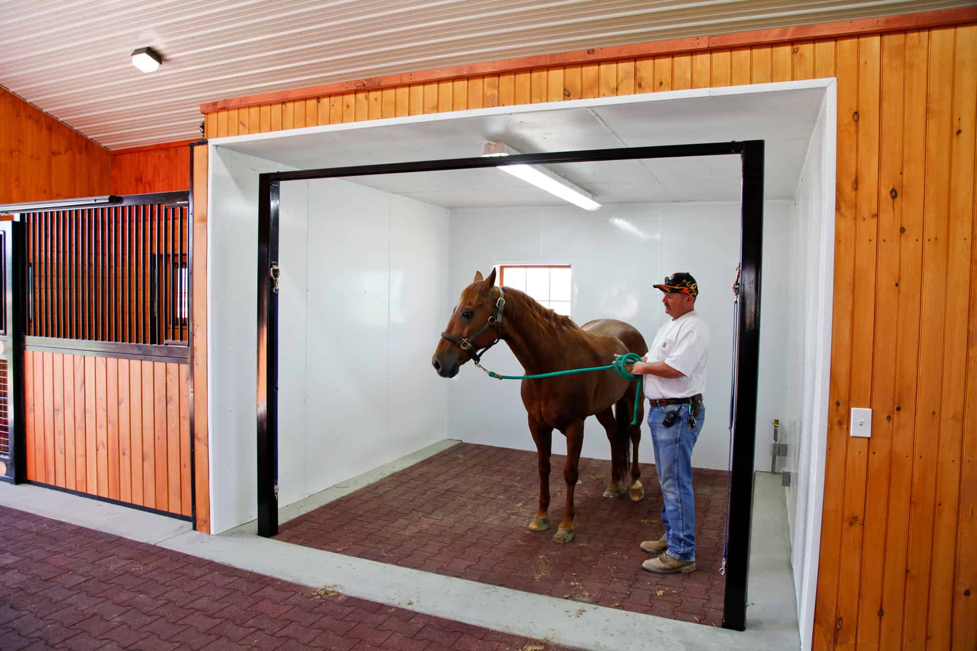 wash stall horse stalls