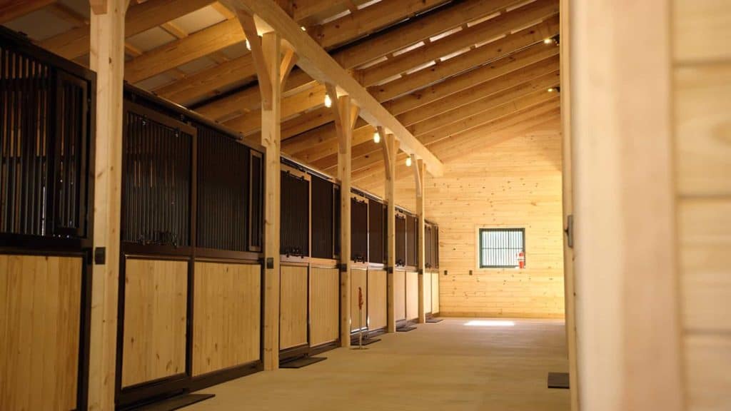 Spacious wooden horse stable with natural wood walls, ceiling, and durable stalls. Perfect for equestrian comfort.