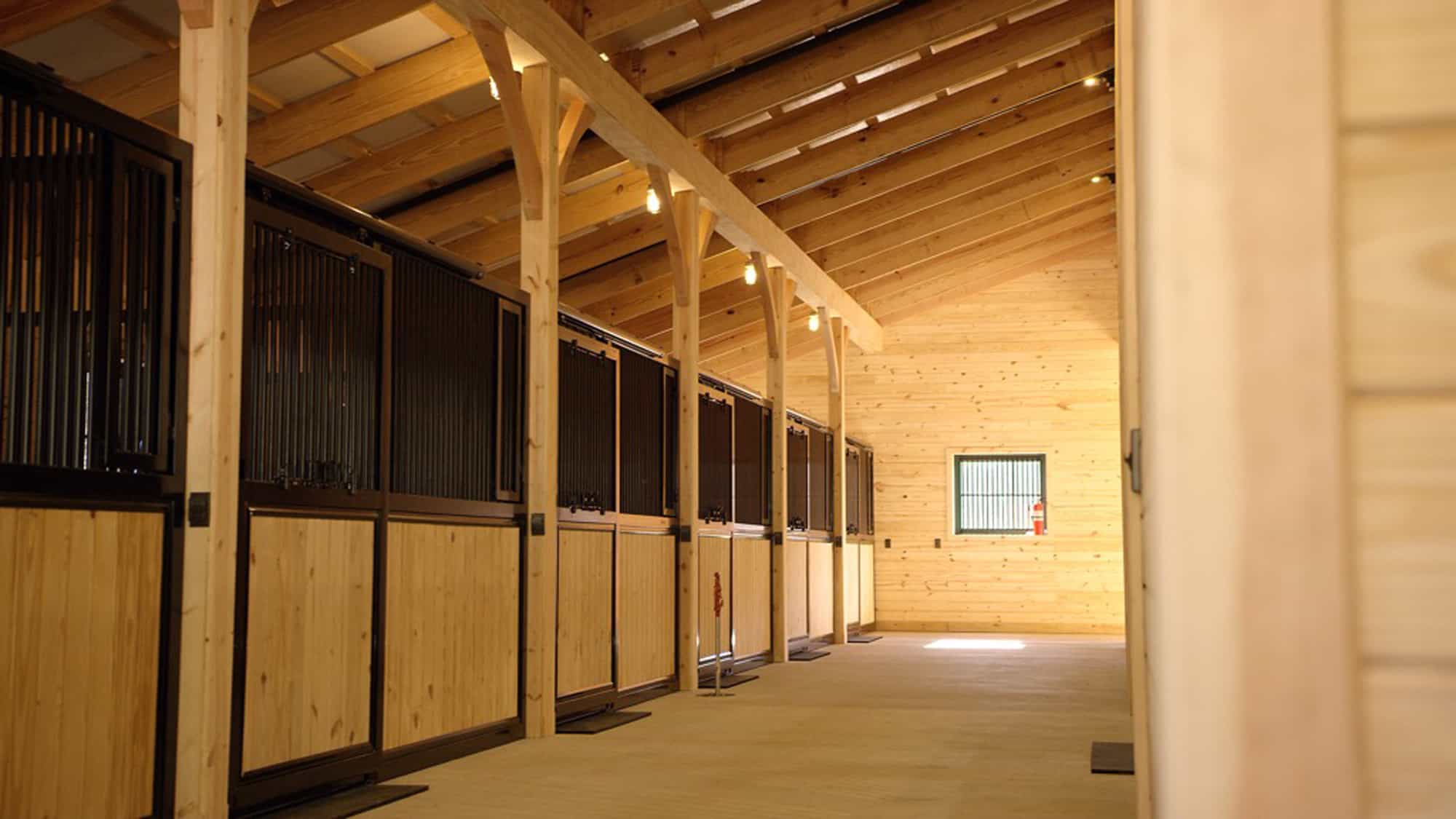 horse stalls tunnel mass timber