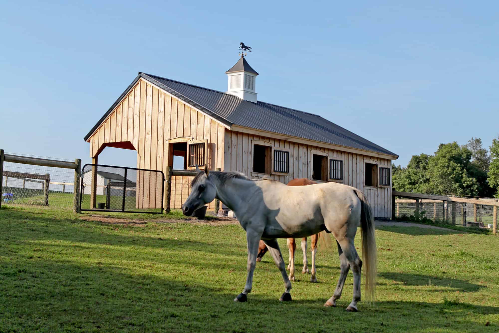 cupola metal roof horse stalls