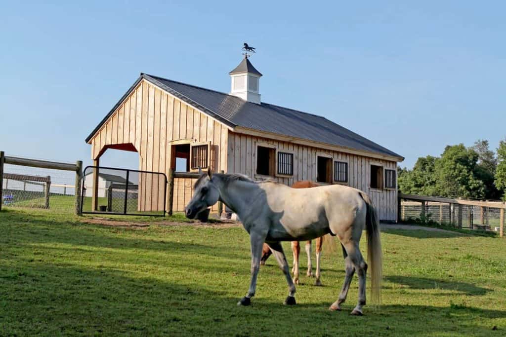 Beautiful wooden horse barn with secure paddocks and scenic surroundings. Perfect for equestrian enthusiasts and horse care.