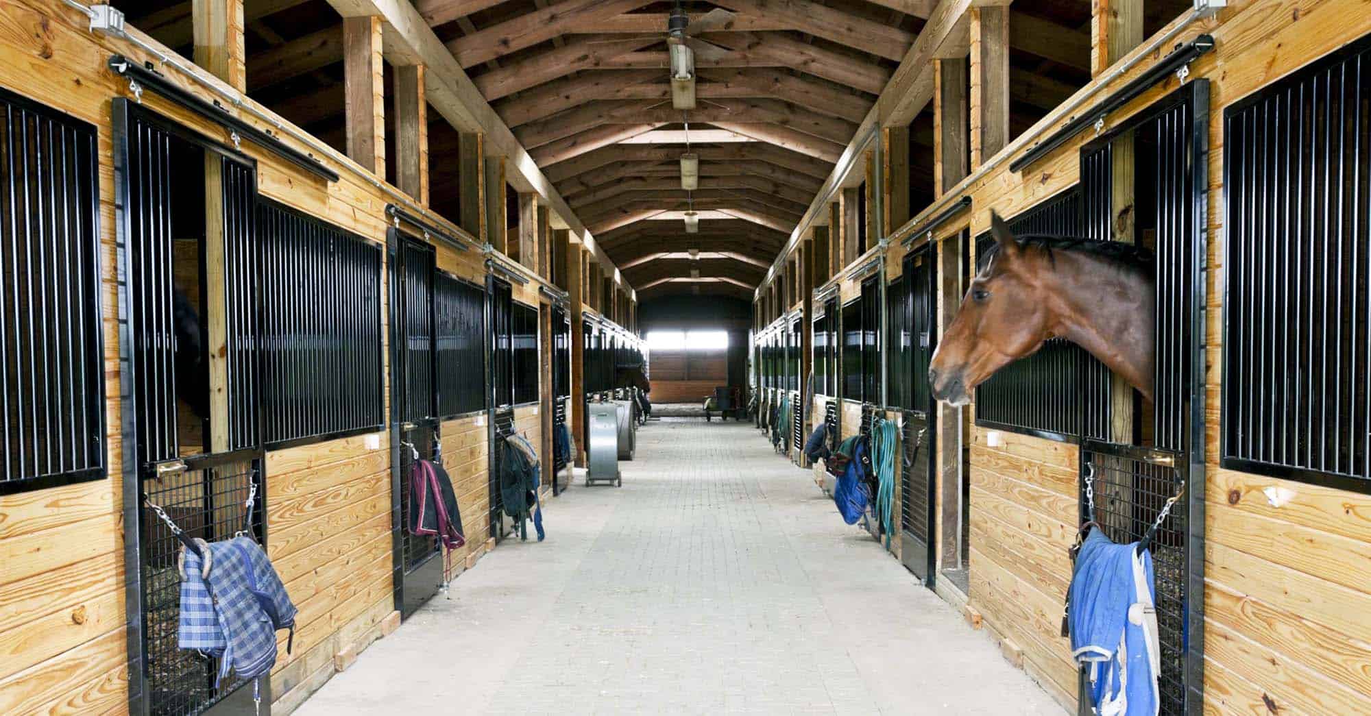 Equestrian Facility