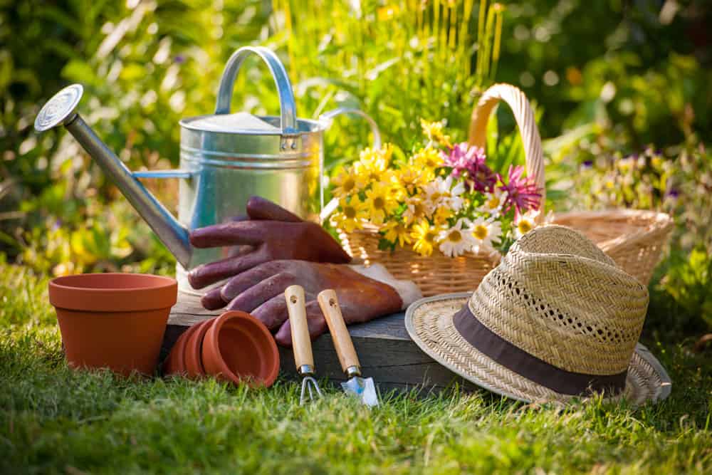 Think Spring! Your Spring Maintenance Checklist