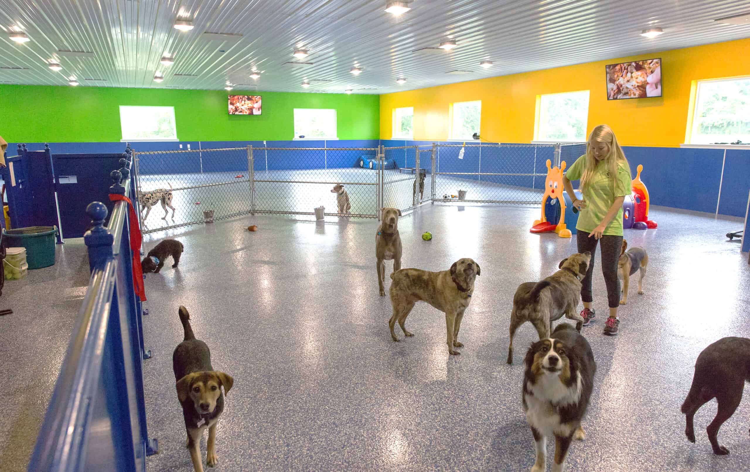 Greenlin Pet Resorts Quarry View Building Group