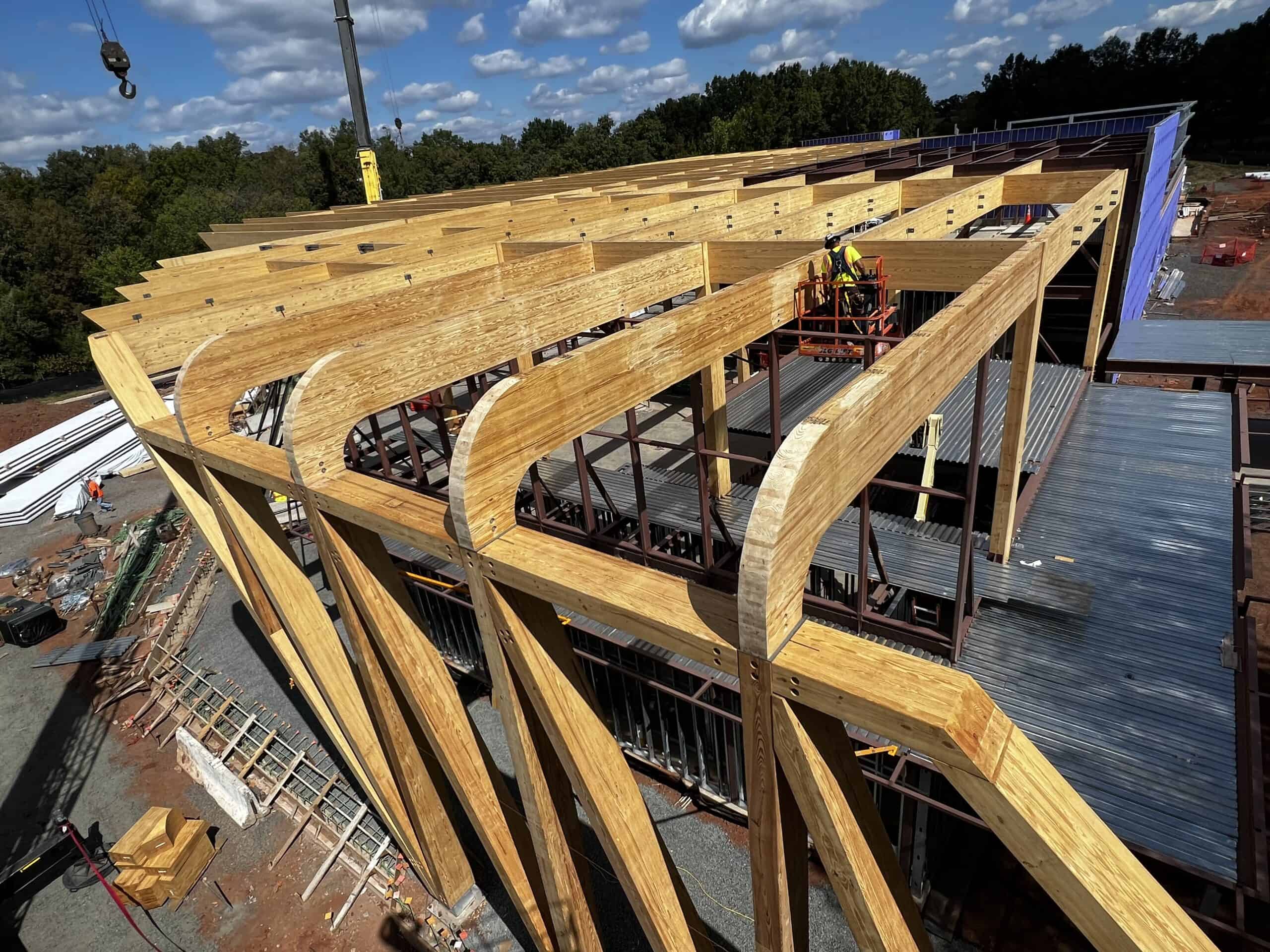 Mass timber beams